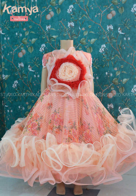 Embroidered organza frock