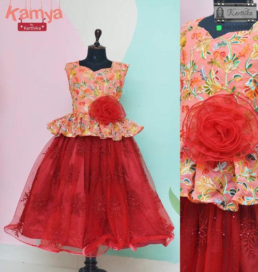 Embroidered georgette/net frock