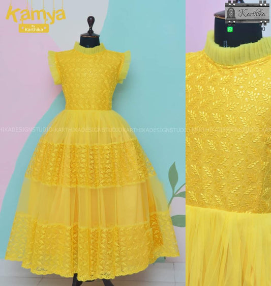 Embroidered net frock