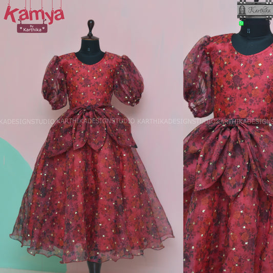 Embroidered organza frock