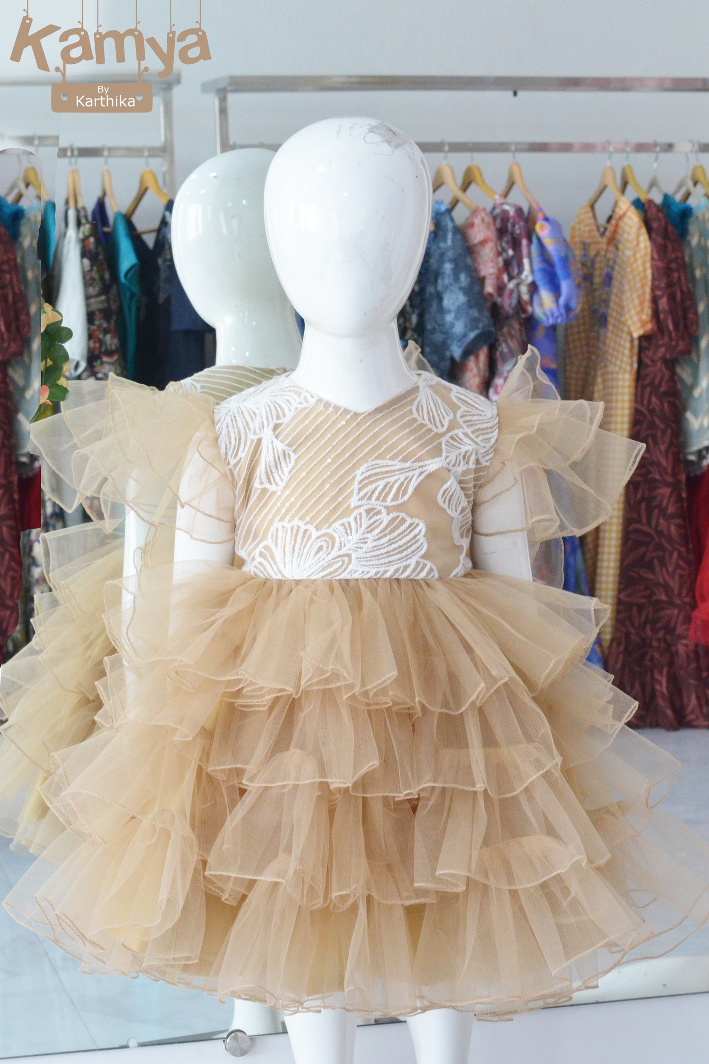 Embroidered net layered frock
