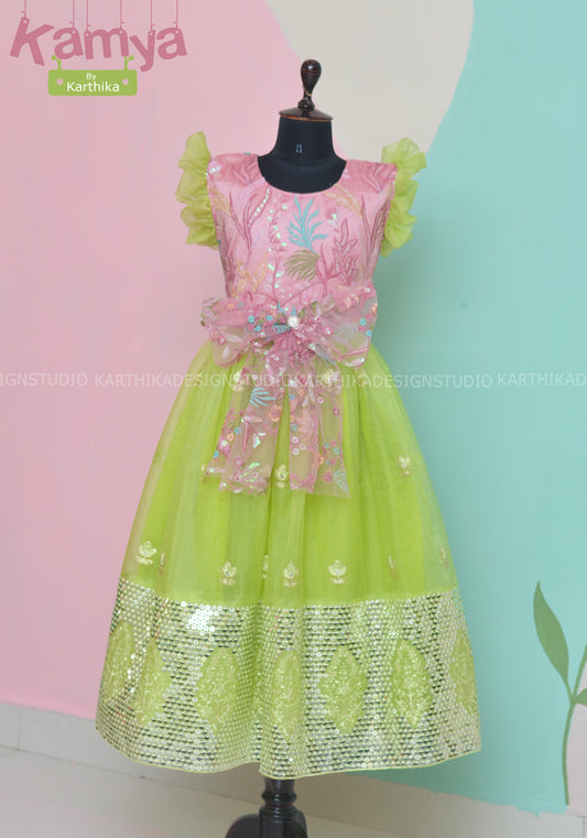 Embroidered net/organza frock